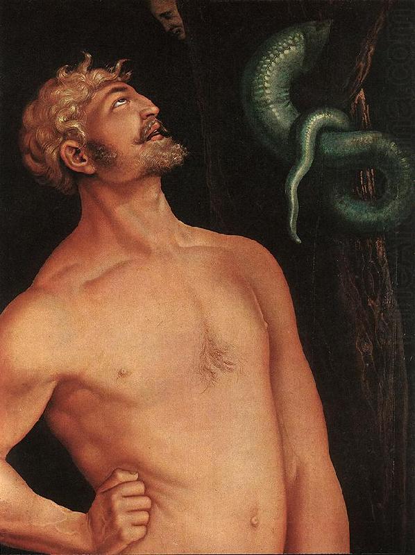 Adam (detail), BALDUNG GRIEN, Hans